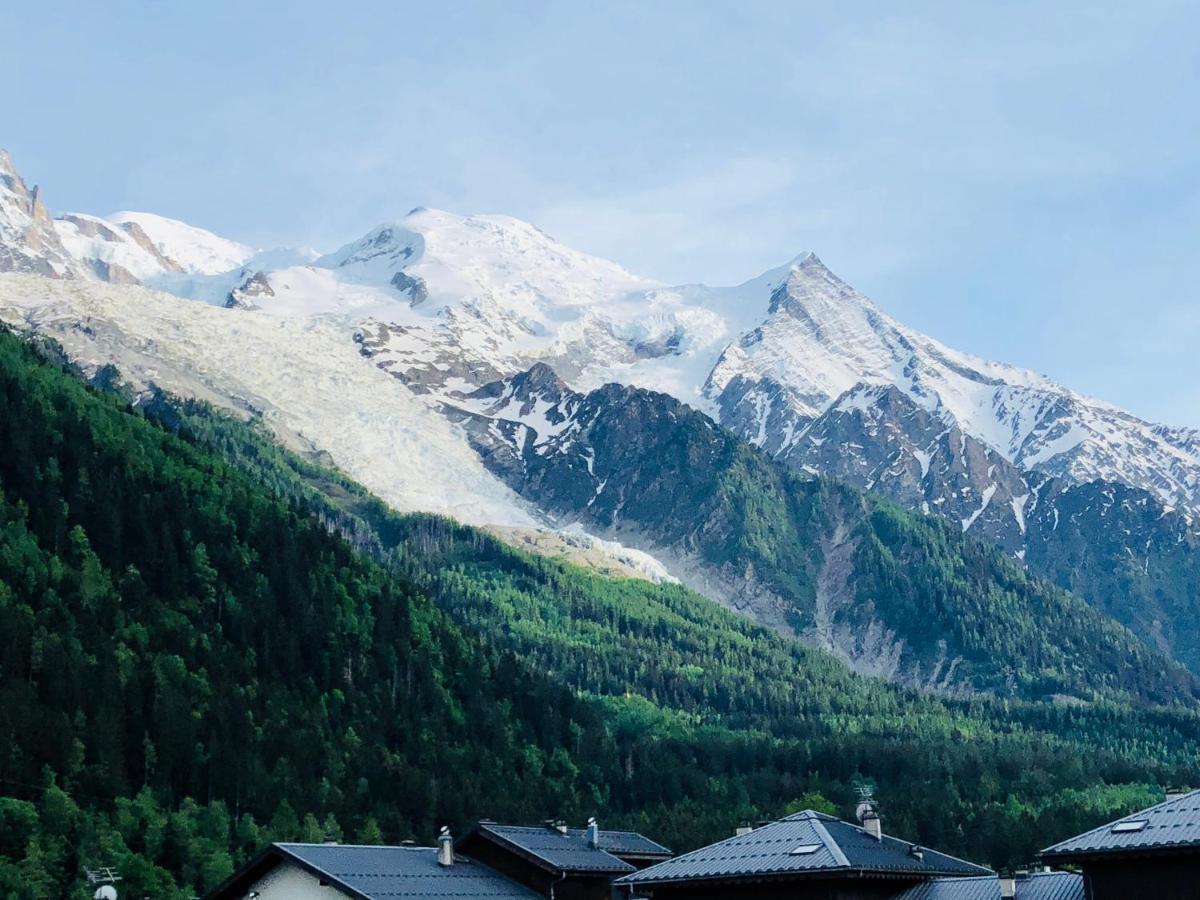 Appartamento Mont Blanc 43, Vue Mont Blanc , Balcon, Parking Chamonix Esterno foto