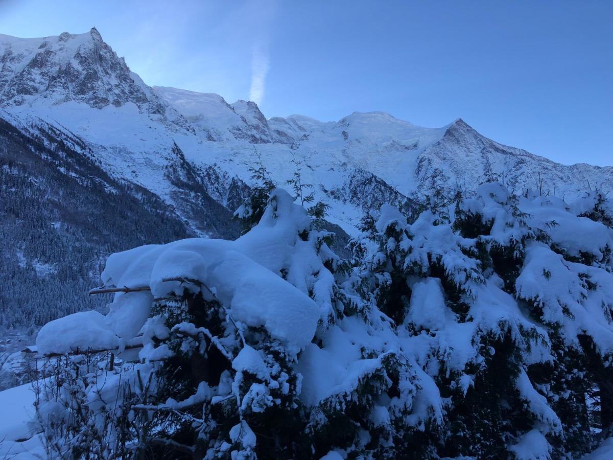 Appartamento Mont Blanc 43, Vue Mont Blanc , Balcon, Parking Chamonix Esterno foto